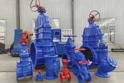 AUT Malaysia khẳng định vị thế: Không chuyển đổi, chỉ tiến lên