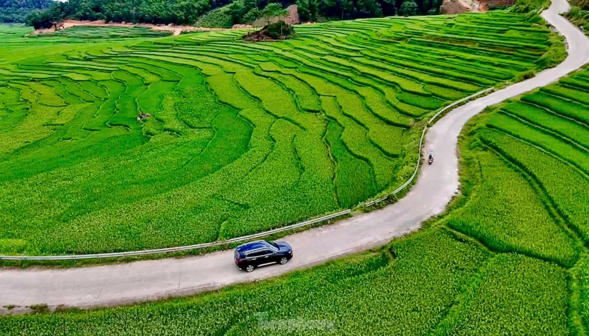 Ruộng bậc thang xanh mướt mùa lúa non &#39;đốn tim&#39; du khách - 3