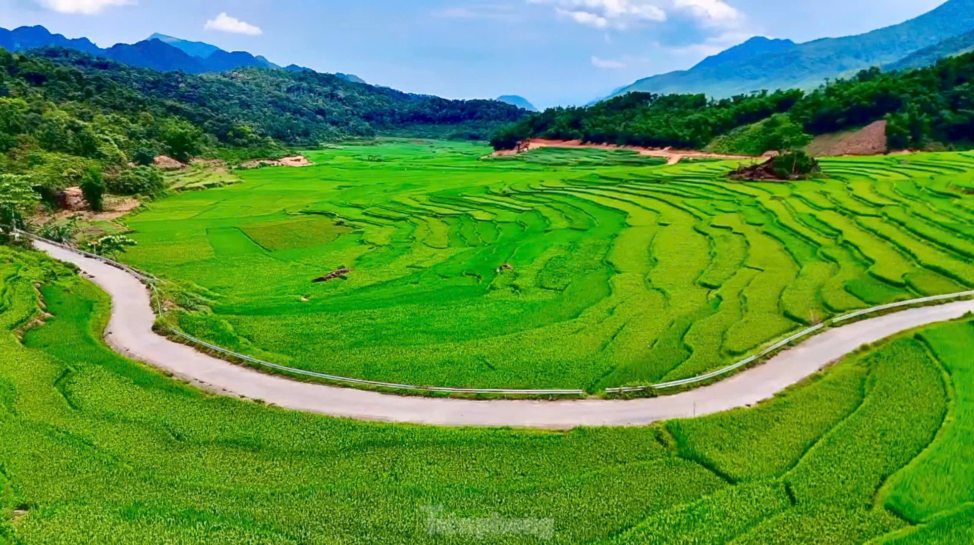 Ruộng bậc thang xanh mướt mùa lúa non &#39;đốn tim&#39; du khách - 4