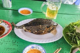 Chủ bè nổi bán cá bò hòm 3,5 triệu/kg bị phạt hơn 20 triệu