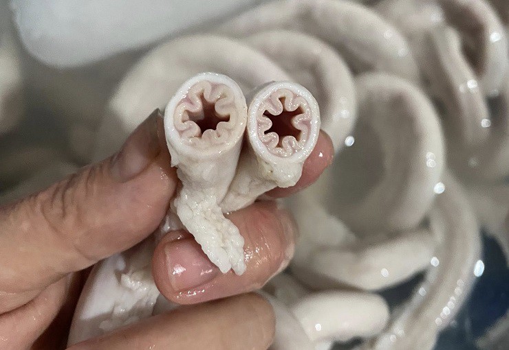 Lòng se điếu có hình dạng giống như những chiếc ống&nbsp;se điếu, với lớp màng bên ngoài dày và các gân nổi rõ.