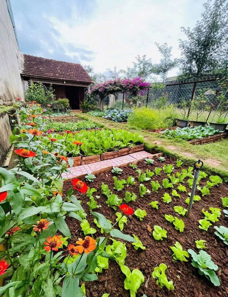 Ước mơ của chị Nga về căn nhà nhỏ và khu vườn đã thành hiện thực&nbsp;