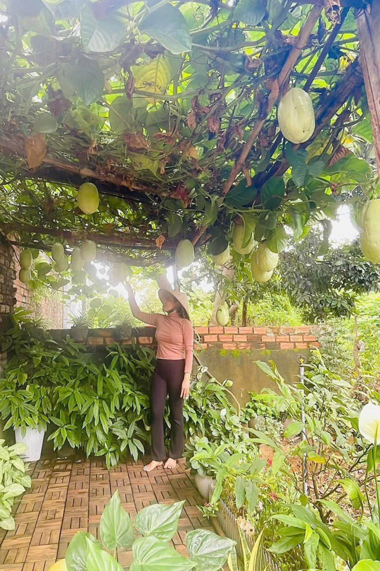 Vợ chồng chị tự trồng rau sạch để ăn