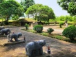 Cận cảnh khu lăng mộ vua Lê Túc Tông bị xâm hại