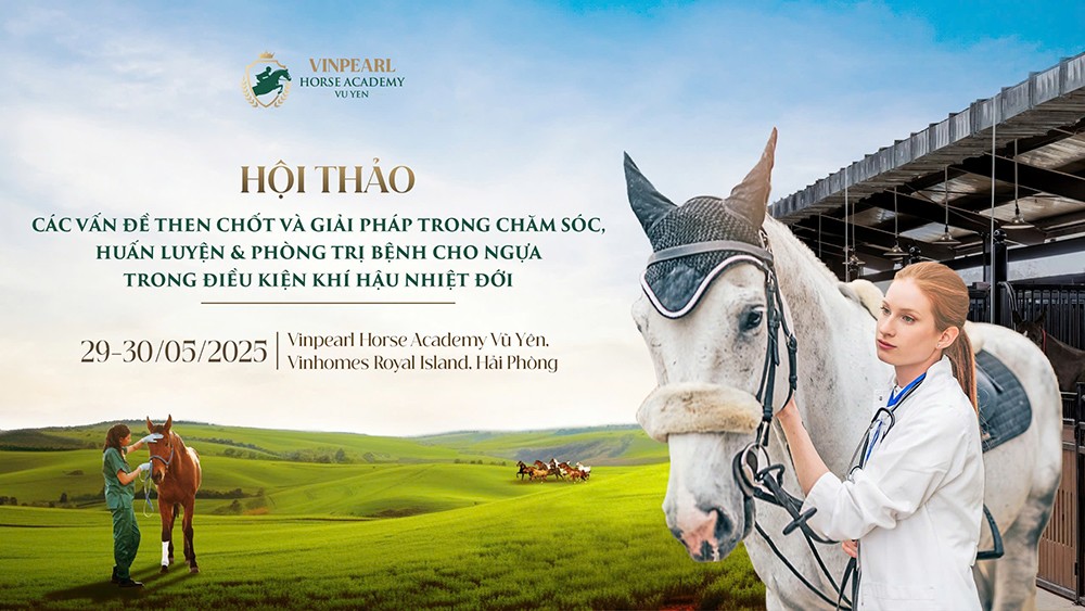 Hội thảo chuyên sâu hàng đầu về ngựa do Học viện Cưỡi Ngựa Vinpearl Vũ Yên tổ chức