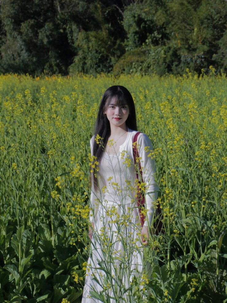 Lưu lại những tấm ảnh bên hoa cải.