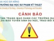 Đà Nẵng: 'Bay' 200 triệu chứng minh tài chính để du học từ thông báo giả