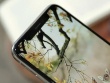 Chiếc iPhone này chứng minh vì sao iPhone được người dùng ưa chuộng