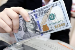 Đồng USD suy yếu, vì sao tỉ giá tại Việt Nam vẫn tăng?