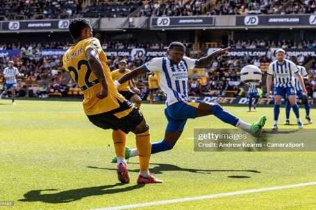 Video bóng đá Wolves - Brighton: Welbeck mở điểm, "chốt hạ" phút 85 (Ngoại hạng Anh)