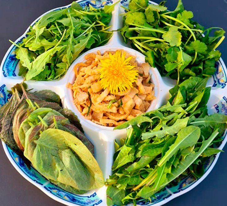 Bồ công anh còn có tên gọi khác là diếp dại, diếp trời, tên khoa học là Lactuca indica L., thuộc họ cúc.&nbsp;
