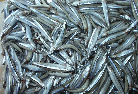 Loại cá "giàu canxi gấp hàng chục lần cá hồi", ở chợ Việt giá rẻ bèo - 2