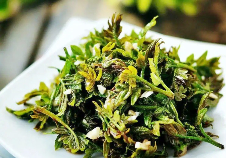 Cây xưa chỉ trồng lấy quả, nay ngắt lá đem bán cũng ra tiền - 2