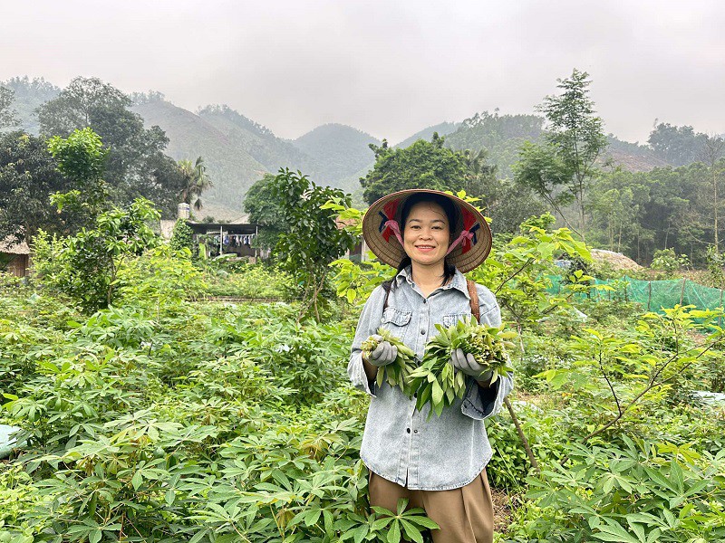 Mỗi ngày chị Tươi bán được khoảng 50kg dưa sắn muối chua.