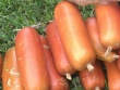 Quả xúc xích siêu khủng giá vài trăm nghìn đồng/kg vẫn đắt hàng
