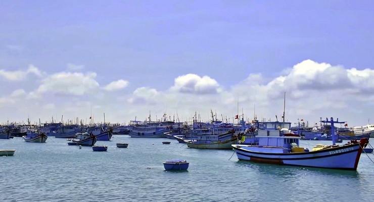 Những đoàn tàu đánh cá nối đuôi nhau ở Phú Quý.