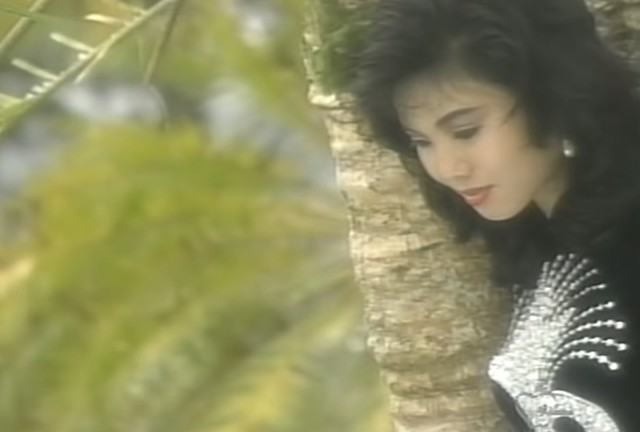 Năm 1990, Thùy Trang xuất hiện trong series "Mưa bụi" và nhận được sự ủng hộ của đông đảo khán giả.