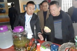 Đối đầu với tử thần để khai thác  vàng  từ loài kịch độc