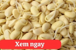 Tin tức sức khỏe - “Tái sinh” khớp gối với 2 món ăn quen thuộc – bí mật mà người bị viêm khớp, thoái hóa khớp không thể bỏ qua!