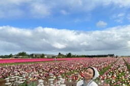 Người Việt lạc lối giữa cánh đồng hoa tulip như cổ tích ở Hà Lan