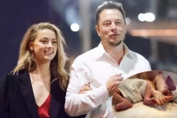 Lý do Elon Musk bị nghi là cha của các con Amber Heard