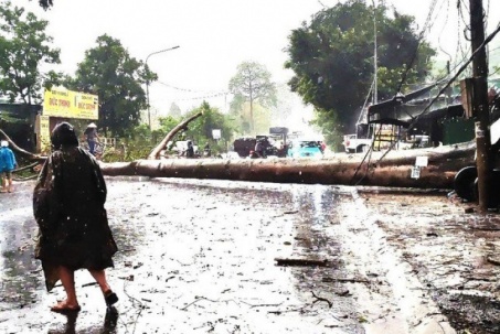 Mưa lớn kèm đá quật ngã cây đè trúng xe cứu thương