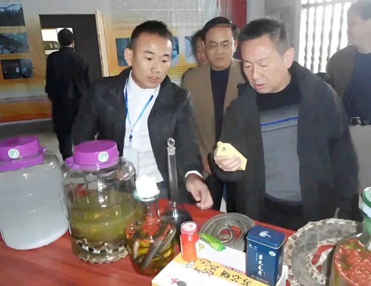 Ban đầu, Cai Ting đã bị rắn lục mũi hếch cắn nhiều lần. May mắn thay, bên cạnh anh có một bác sĩ già giàu kinh nghiệm trong làng đã giúp anh trở về từ “cõi chết”. 