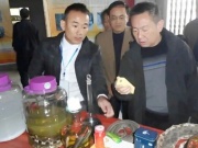 Thị trường - Tiêu dùng - Đối đầu với tử thần để khai thác “vàng” từ loài kịch độc