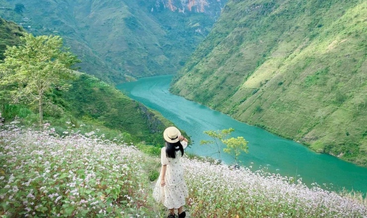 Hà Giang không chỉ là địa điểm lý tưởng cho những ai yêu thích thiên nhiên, mà còn là nơi lý tưởng để bạn tìm lại sự mạnh mẽ và tĩnh lặng trong tâm hồn. Một chuyến đi Hà Giang sẽ mang đến cho du khách một trải nghiệm chữa lành đầy ý nghĩa. Ảnh CrysatlBay