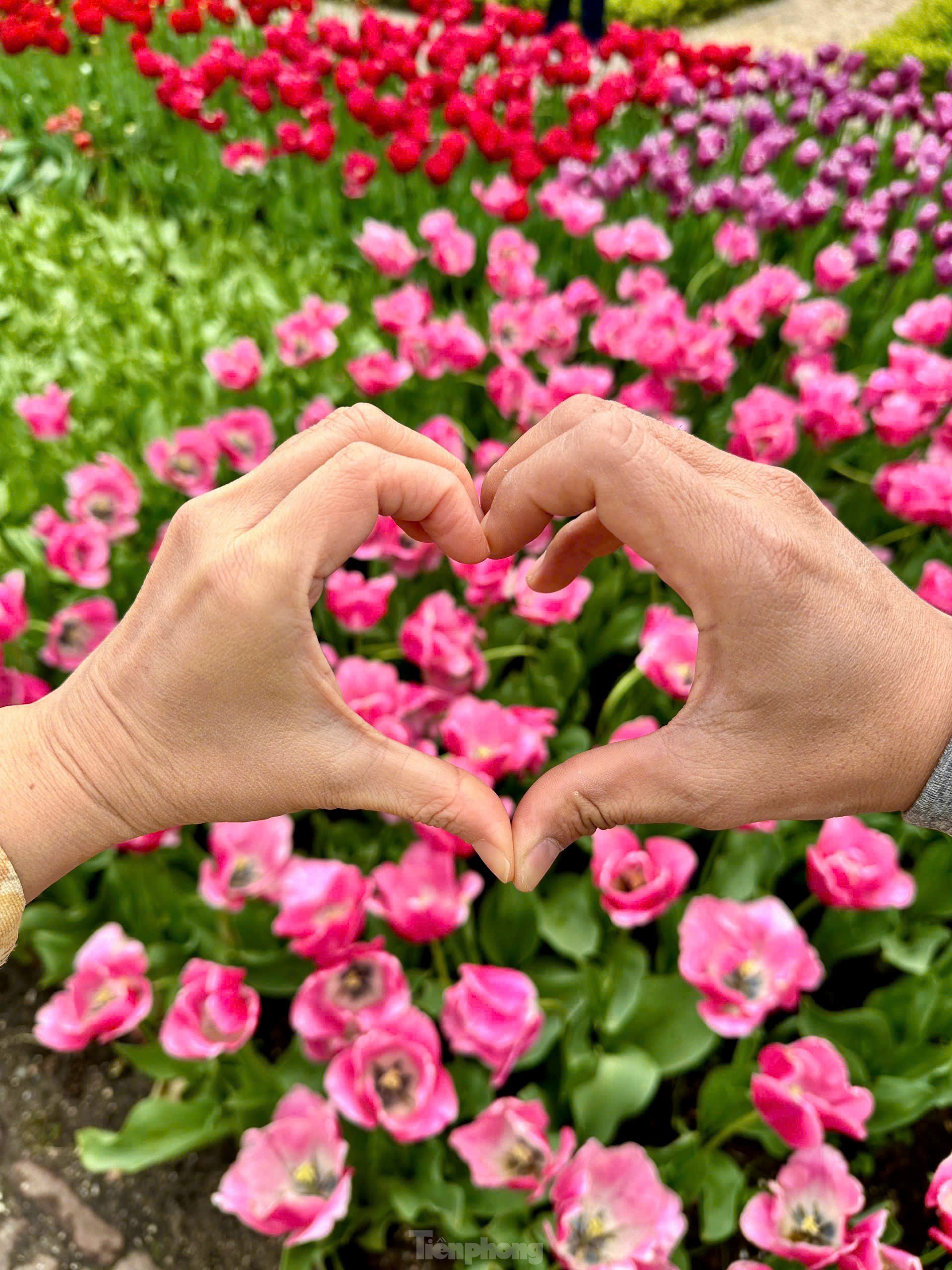 Người Việt lạc lối giữa cánh đồng hoa tulip như cổ tích ở Hà Lan - 2