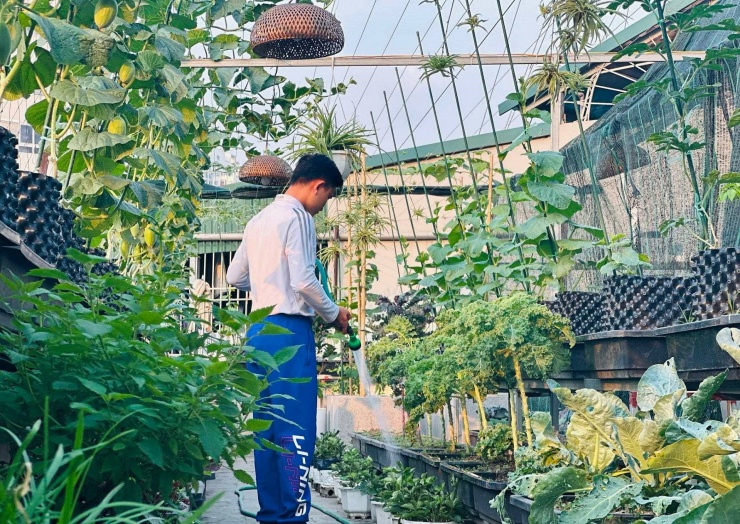 Anh Tiến lên tưới nước cho vườn vào sáng và chiều hàng ngày