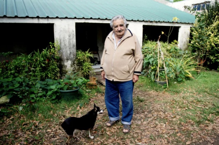 Ông Mujica nổi tiếng vì từ chối dinh tổng thống, ở lại trang trại hoa ở ngoại ô thủ đô Montevideo. Ảnh: AP