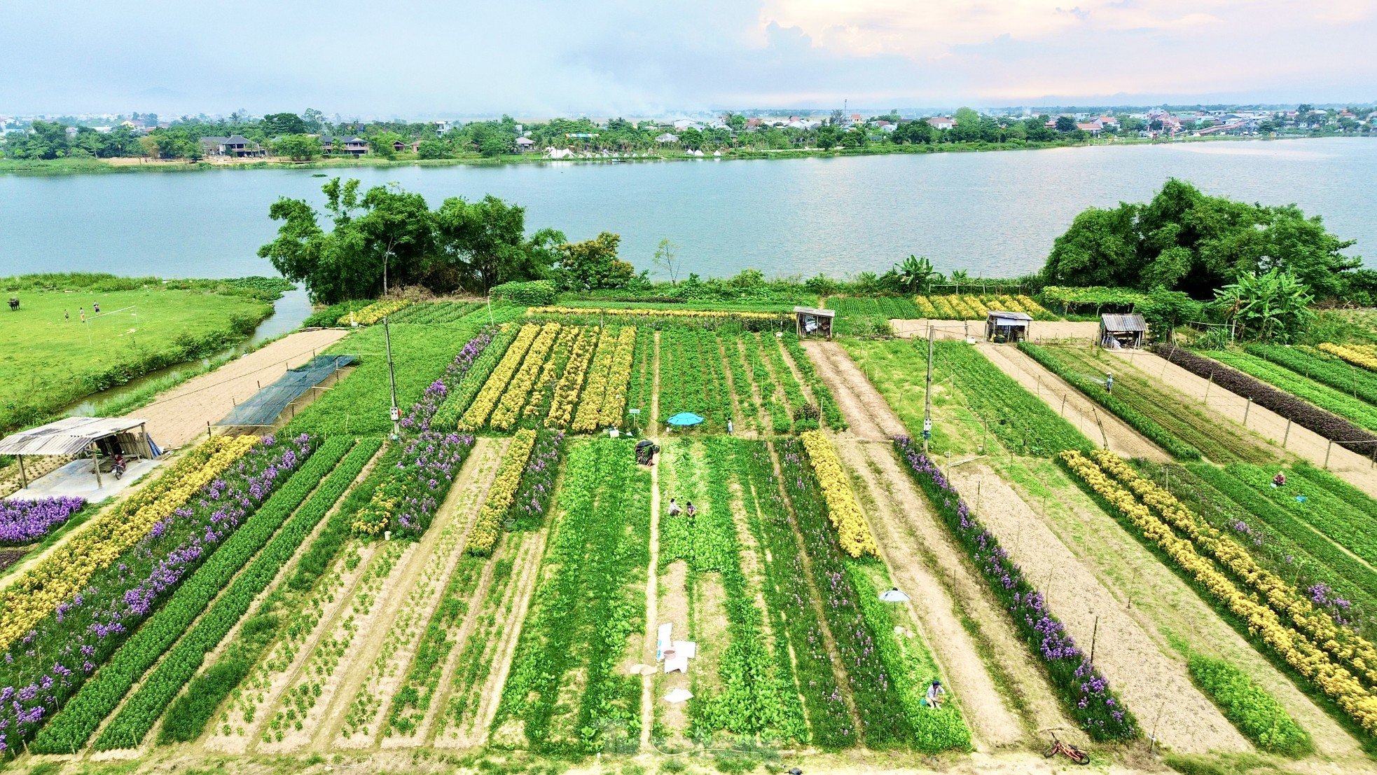Phường duy nhất tại Huế không sáp nhập có gì đặc biệt? - 13