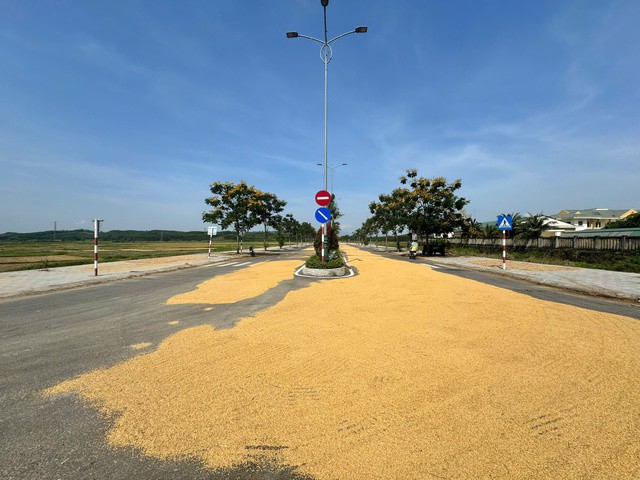 Làm đường 34 tỉ dẫn ra ruộng, dân làm nơi... phơi lúa - 2