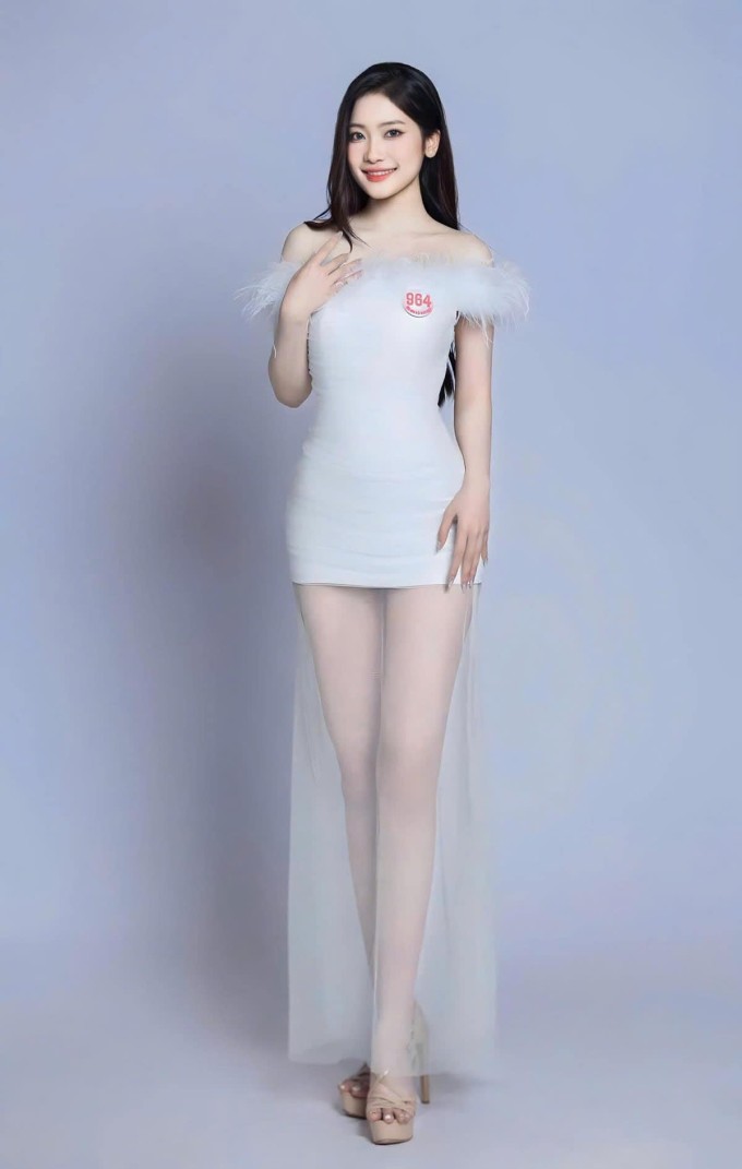 Trước khi đến với Hoa hậu Việt Nam, Hương Giang từng làm người mẫu và tham gia cuộc thi Miss World Vietnam 2023 nhưng không giành thứ hạng cao.