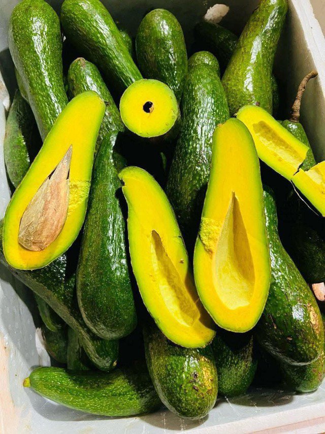 Mỗi loại bơ sẽ có hình dáng và đặc trưng khác nhau.