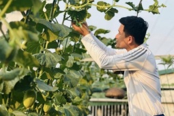 Ông bố 29 tuổi ở Hà Nội làm vườn trồng rau, nuôi cá rộng 200m2 trên sân thượng