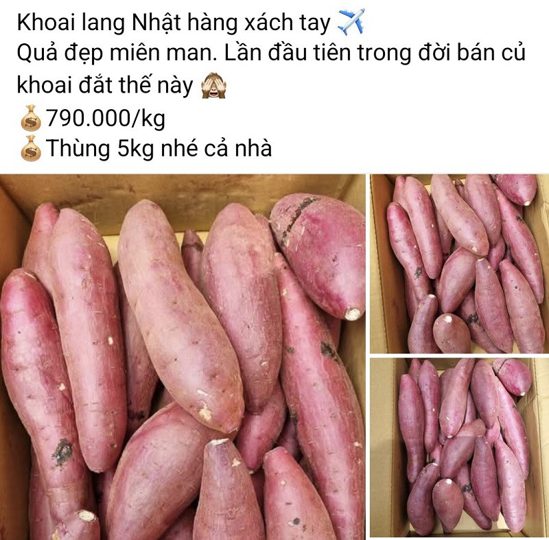 Một bài viết rao bán khoai lang Nhật Bản xách tay với giá 790 nghìn đồng/kg. (Ảnh chụp màn hình)