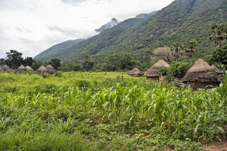 Ở Bang Adamawa, Nigeria, có một bộ tộc cụ thể được xác định là bộ tộc Koma. Người dân Koma sống ở vùng núi Atlantika và họ cũng có chung biên giới với miền nam Cameroon.