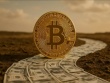 ETF Bitcoin thu hút kỷ lục 41 tỷ USD: Giá Bitcoin sẽ đạt 200.000 USD?
