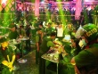 Cuộc đột kích quán bar Paris Night Club lúc nửa đêm 'vén màn' sự thật bên trong