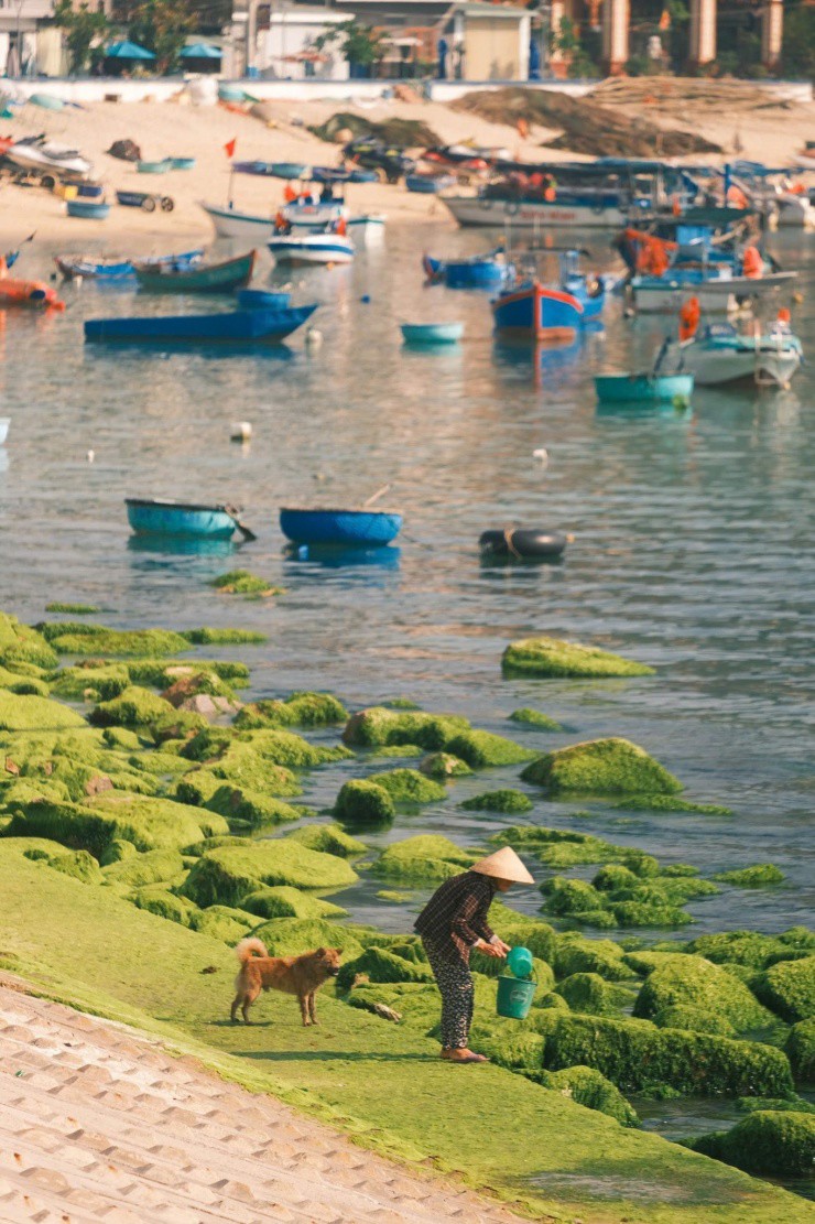 Khung cảnh bình dị, đẹp như phim ảnh.