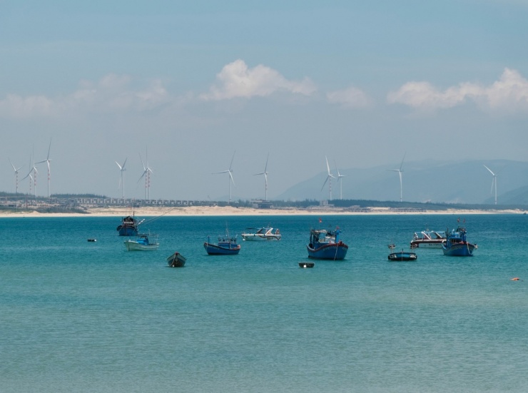 Chiêm ngưỡng bức tranh tuyệt đẹp ở Quy Nhơn.