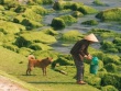 Chậm lại bên Quy Nhơn cảm nhận khoảnh khắc giản dị
