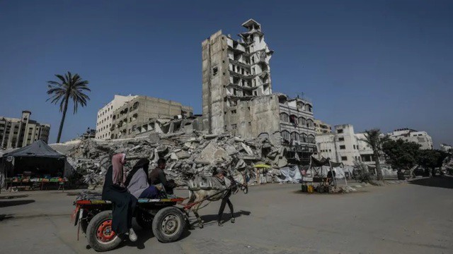 Nhiều người Palestine sơ tán từ các khu vực khác đang trú ẩn tại TP Gaza. Ảnh: EPA