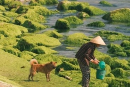 Chậm lại bên Quy Nhơn cảm nhận khoảnh khắc giản dị