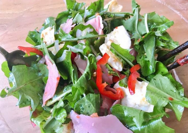 Mỹ đánh giá "rau tốt nhất thế giới" hóa ra là rau quen thuộc ở nước ta - 3