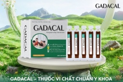 NTB Pharma New – Đơn vị phân phối độc quyền thuốc Gadacal tại Việt Nam