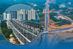 Những con số giật mình trong vụ án Tập đoàn Thuận An