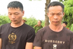 2 người Trung Quốc đào trộm mộ vua Lê Túc Tông bị khởi tố
